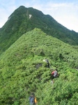 1839峰を目指す.jpg