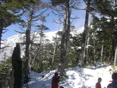 3455.jpg