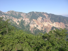 2684.jpg