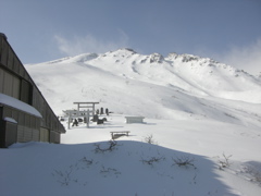 3567.jpg