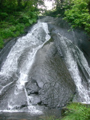 3740.jpg